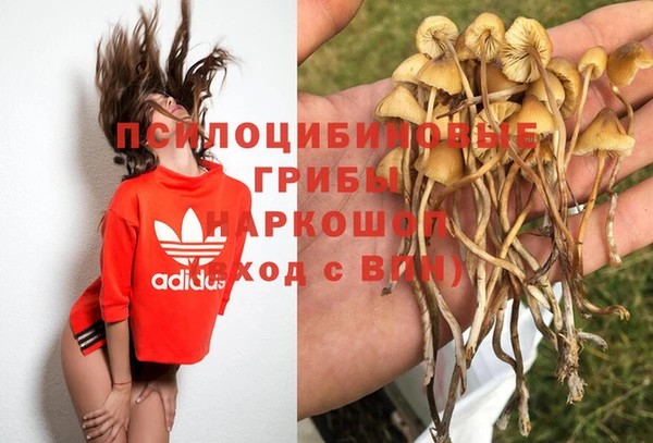 МДМА Арсеньев
