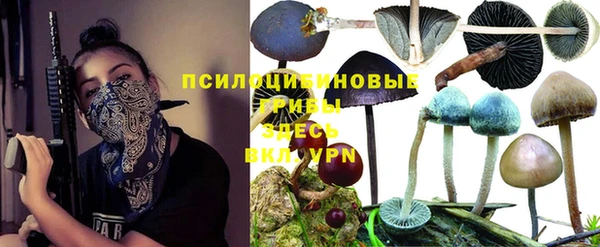 дмт Армянск